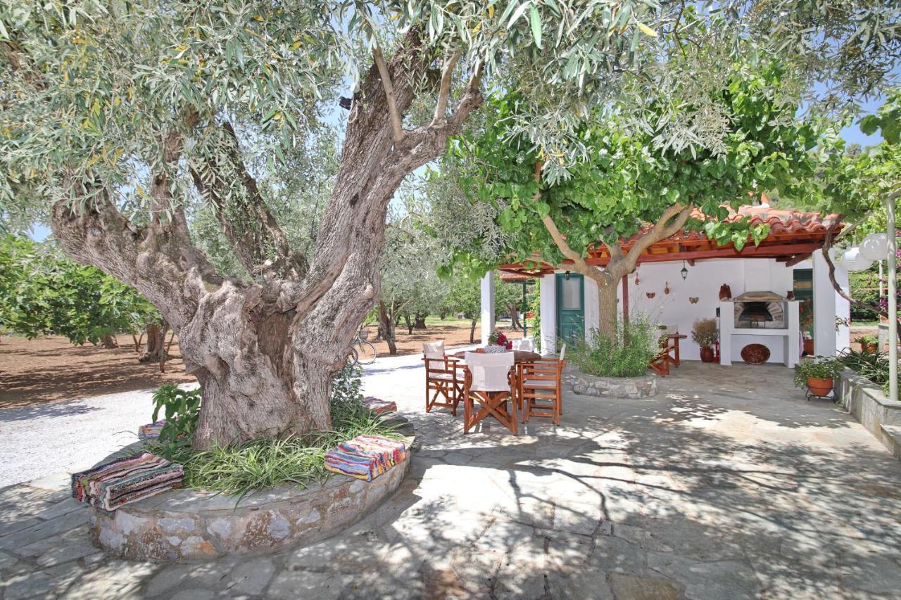 Katerina Panormos (Skopelos) Exterior foto
