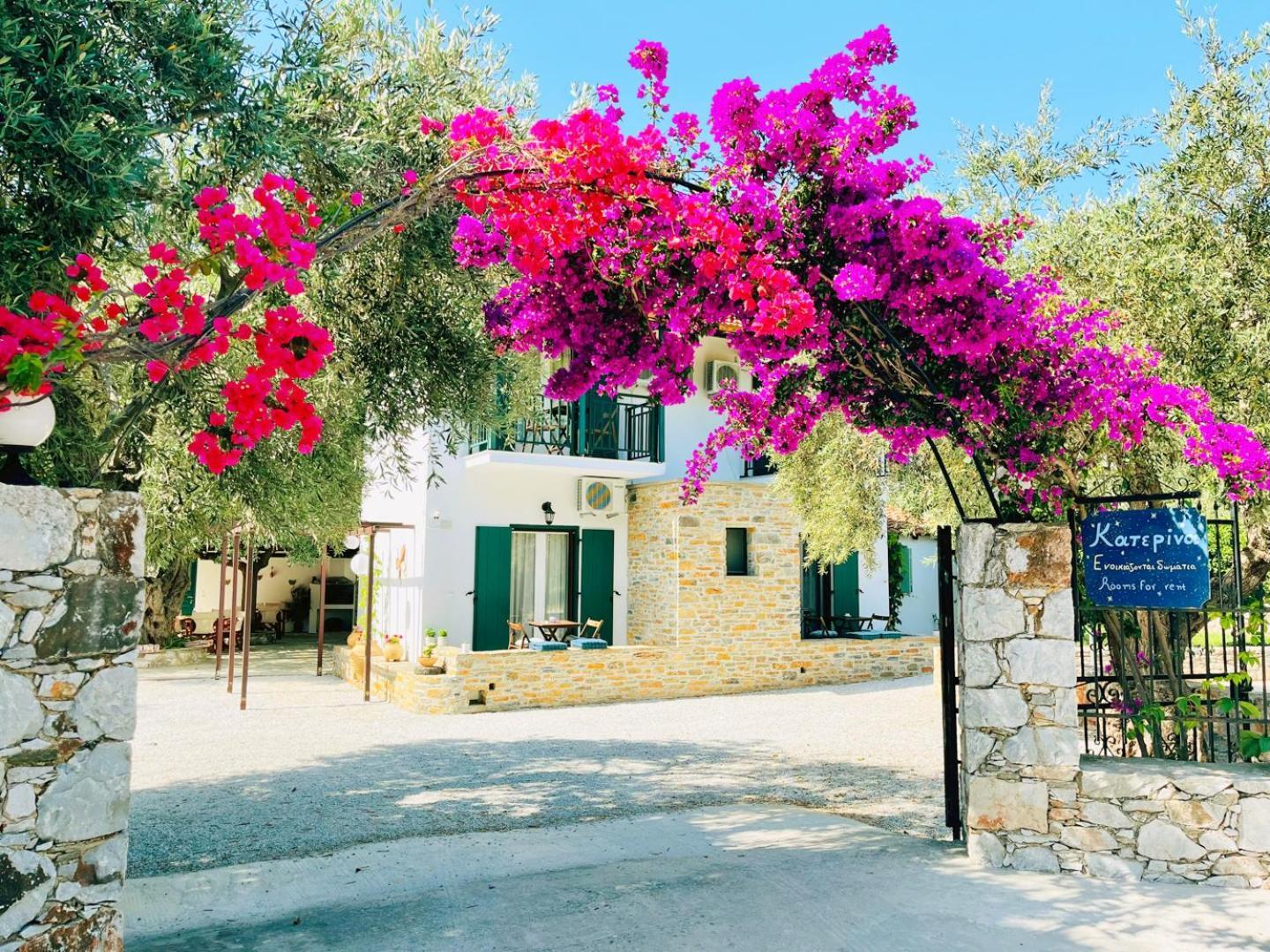 Katerina Panormos (Skopelos) Exterior foto